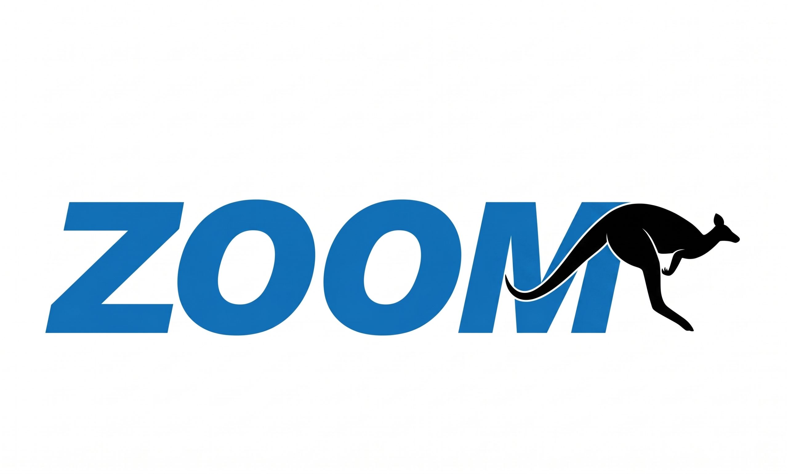 ZOOM